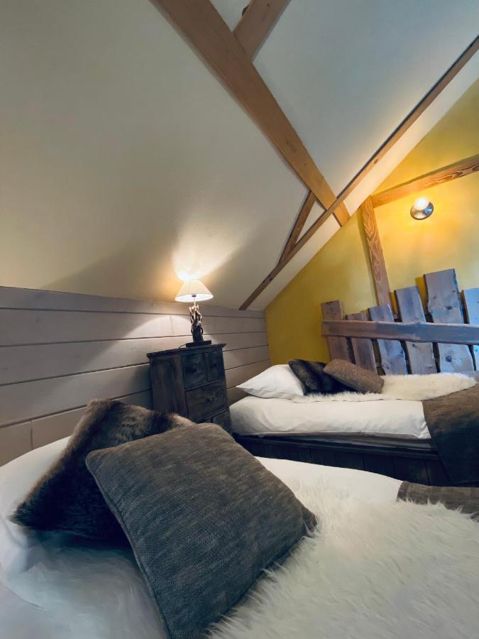Le Chalet D'Etienne Saint-Etienne-les-Remiremont Zewnętrze zdjęcie